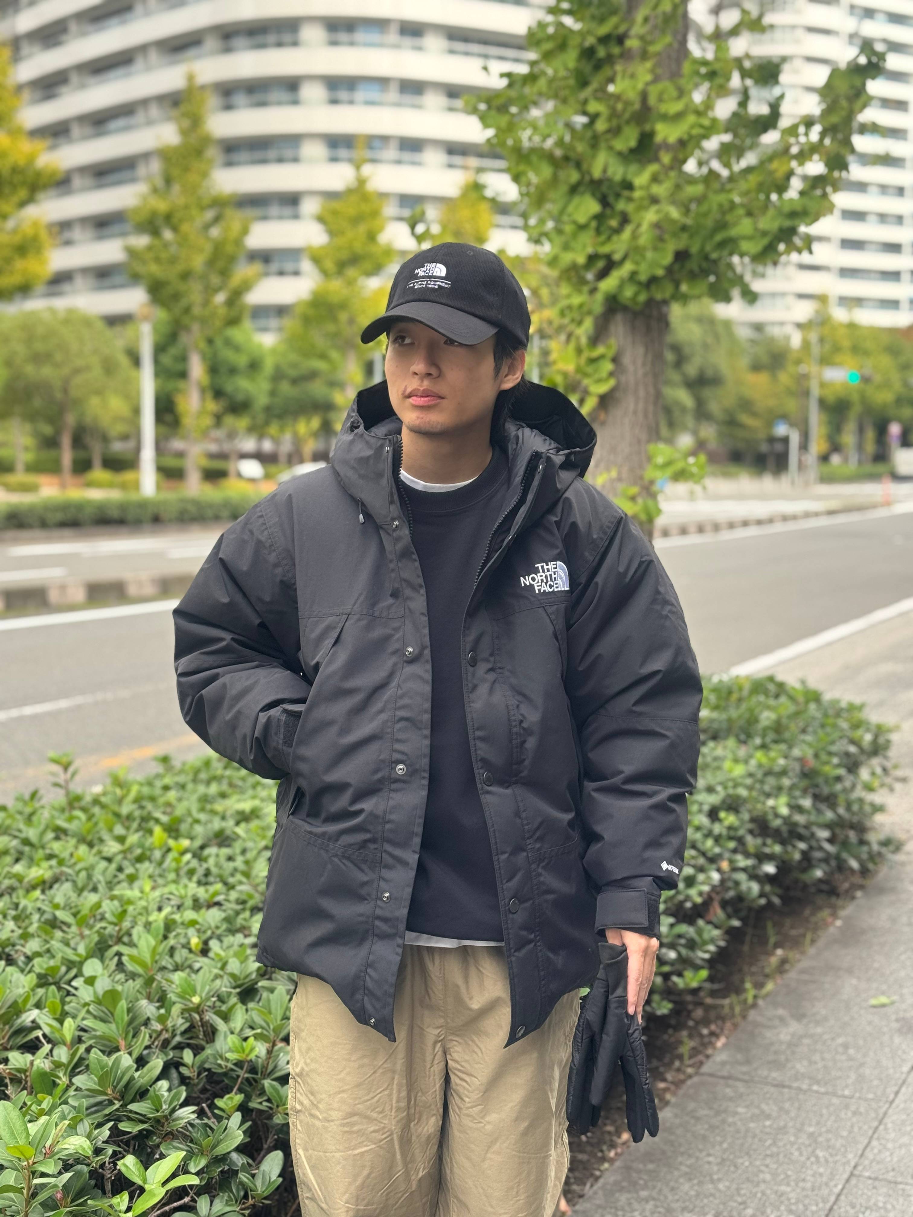 ノースフェイス　NPW15003 レディースL THE NORTH FACE ザ・ノース・フェイス マウンテンパーカー レディース