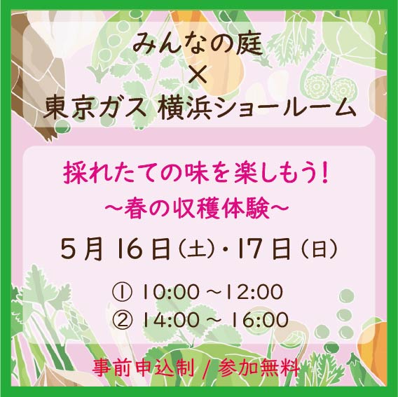 イメージ画像