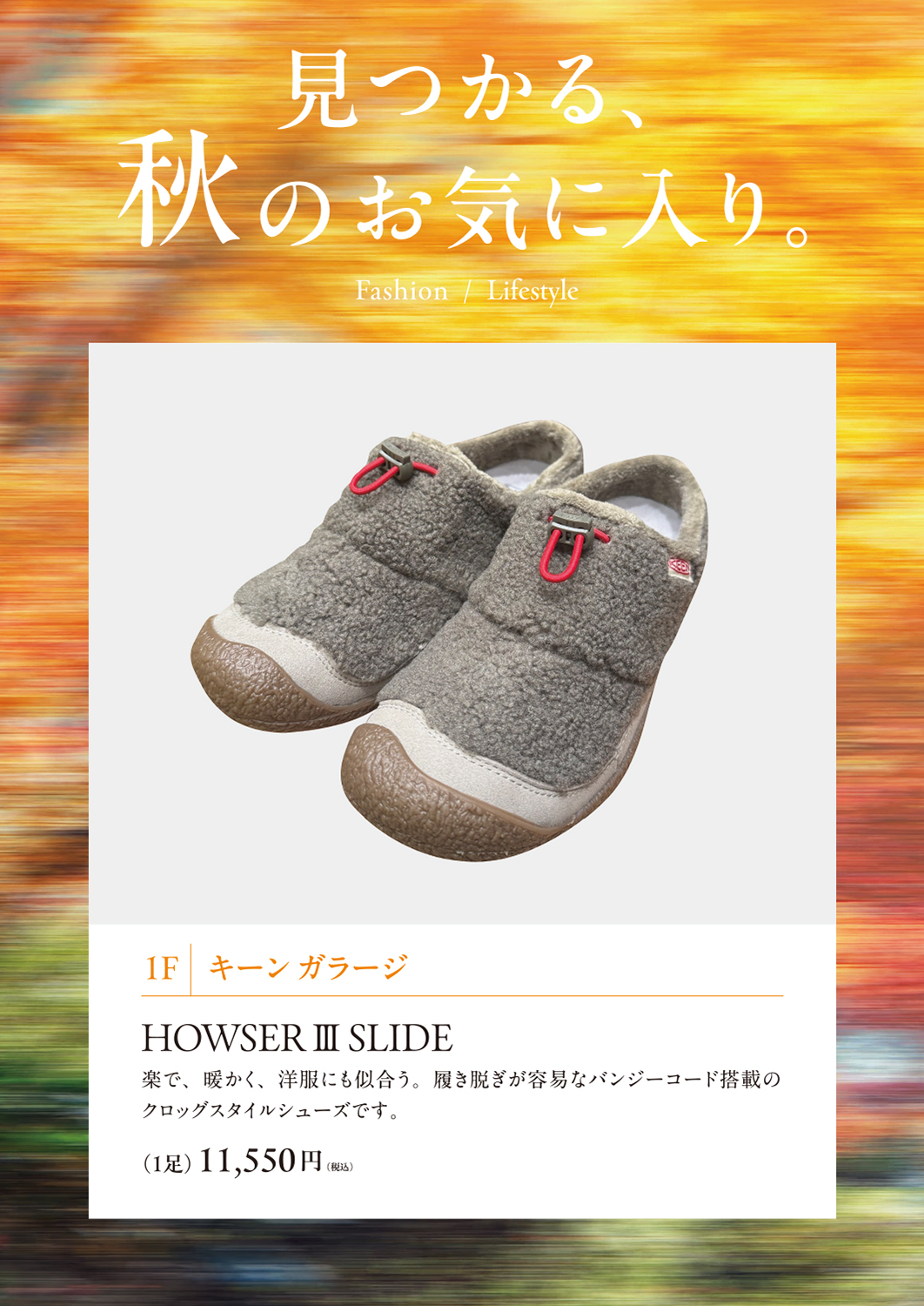イメージ画像