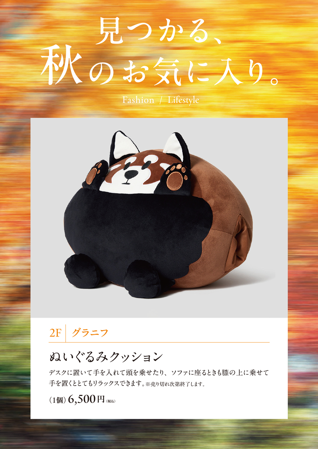 イメージ画像